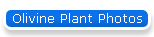 Olivine Plant Photos